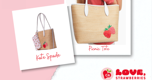 Kate Spade Picnic in the Park Tote Giveaway